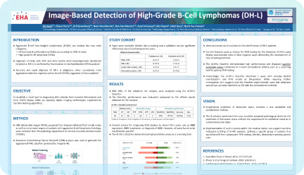 SHEBA research day poster 2021 2